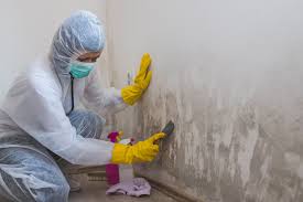 Reliable Roslyn, PA Mold Prevention & Removal  Solutions